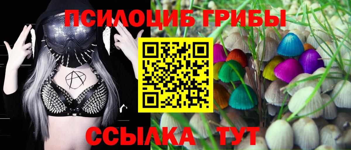 Псилоцибиновые грибы прущие грибы Ливны